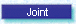 Joint